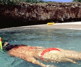 Manipulação na selva 